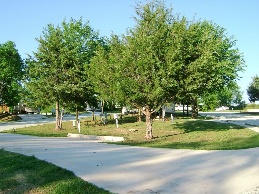 Scenic view of park