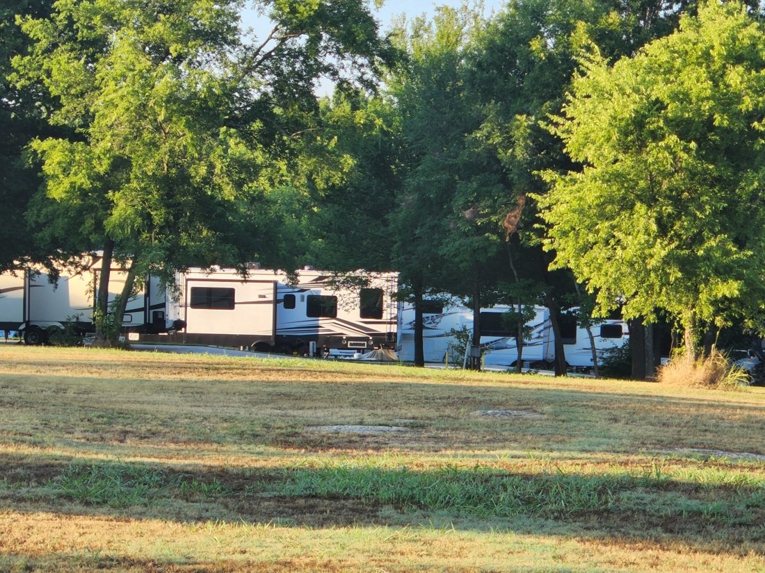 Scenic view of park